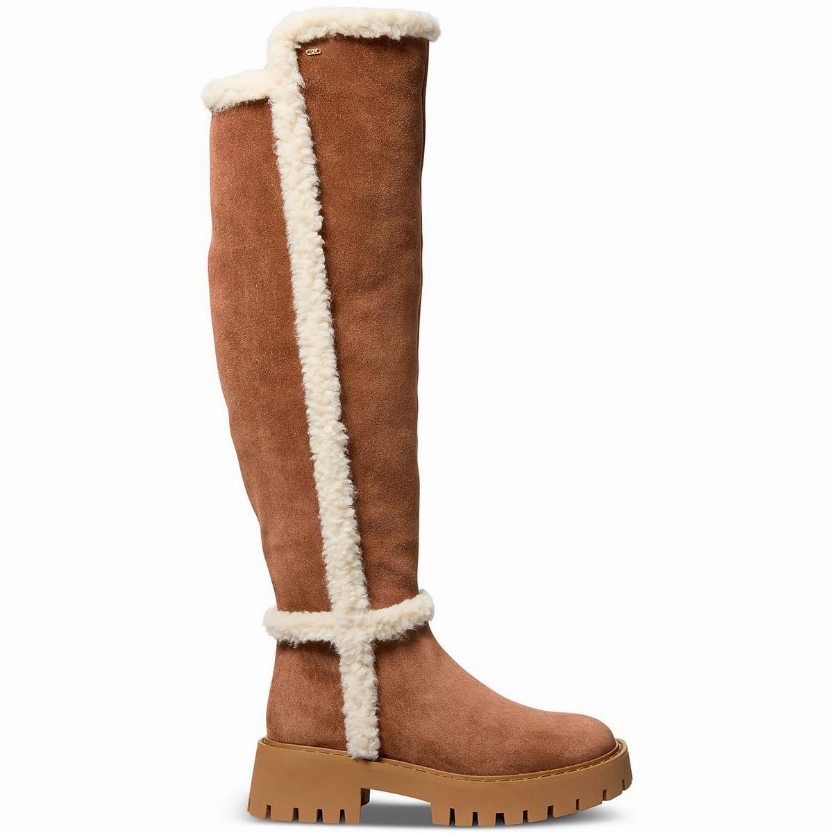 Asher Boot Womens Faux Fur Lined Faux Suede Over-The-Knee Boots