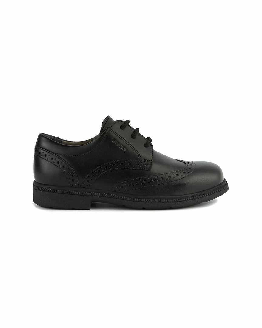 Geox Federico Leather Shoe