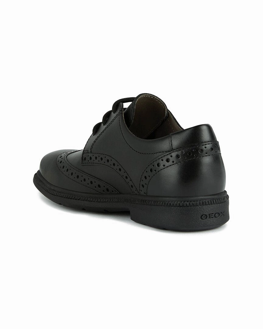 Geox Federico Leather Shoe