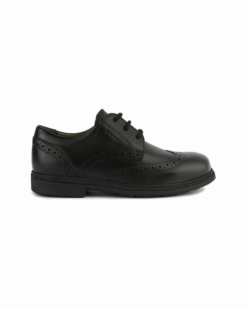 Geox Federico Leather Shoe
