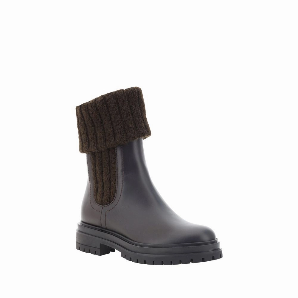 Gianvito Rossi Ankle Women's Boots