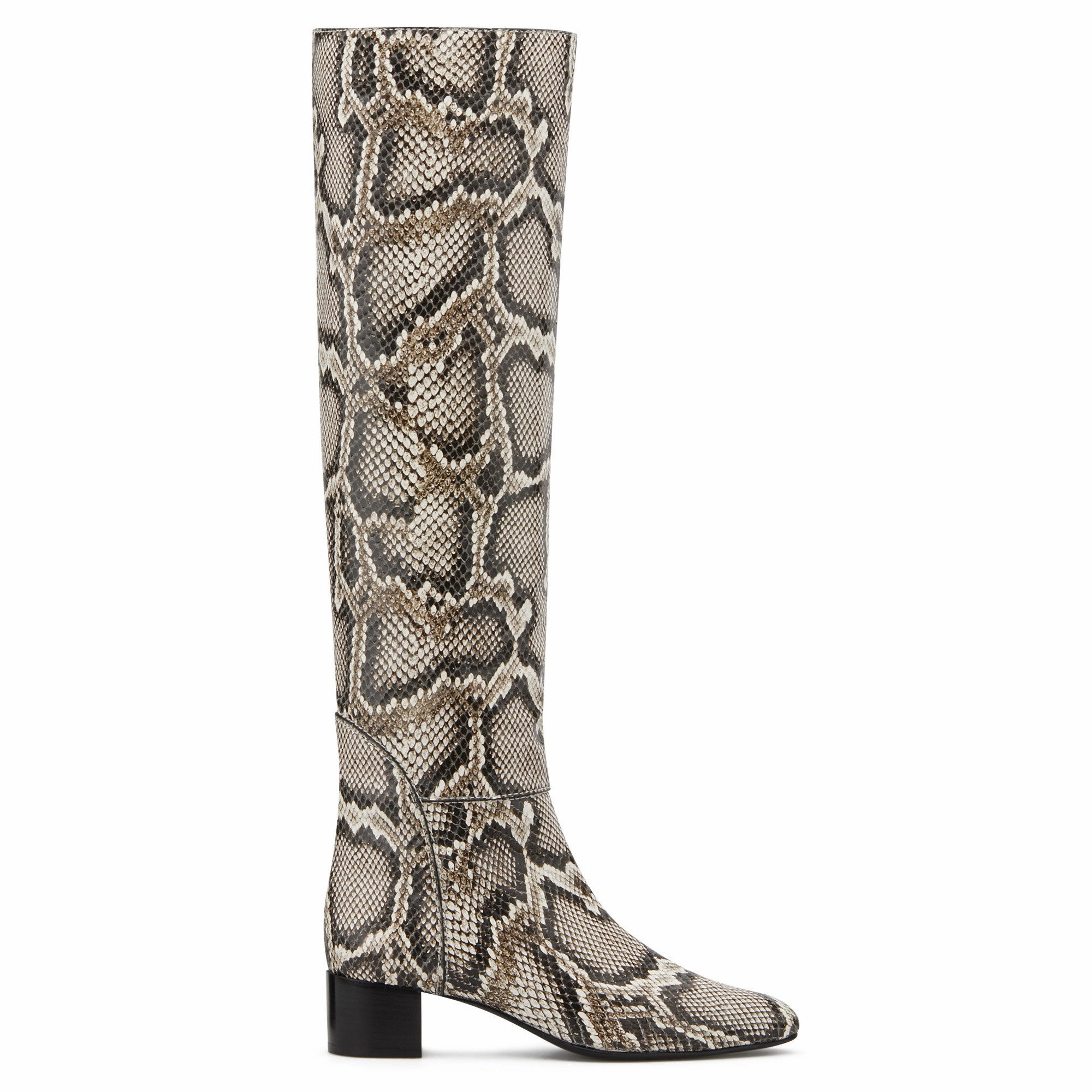 Giuseppe Zanotti Doreen Promo on Womens Fashionable Boots