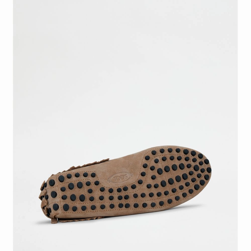 Gommino Desert Boots in Suede