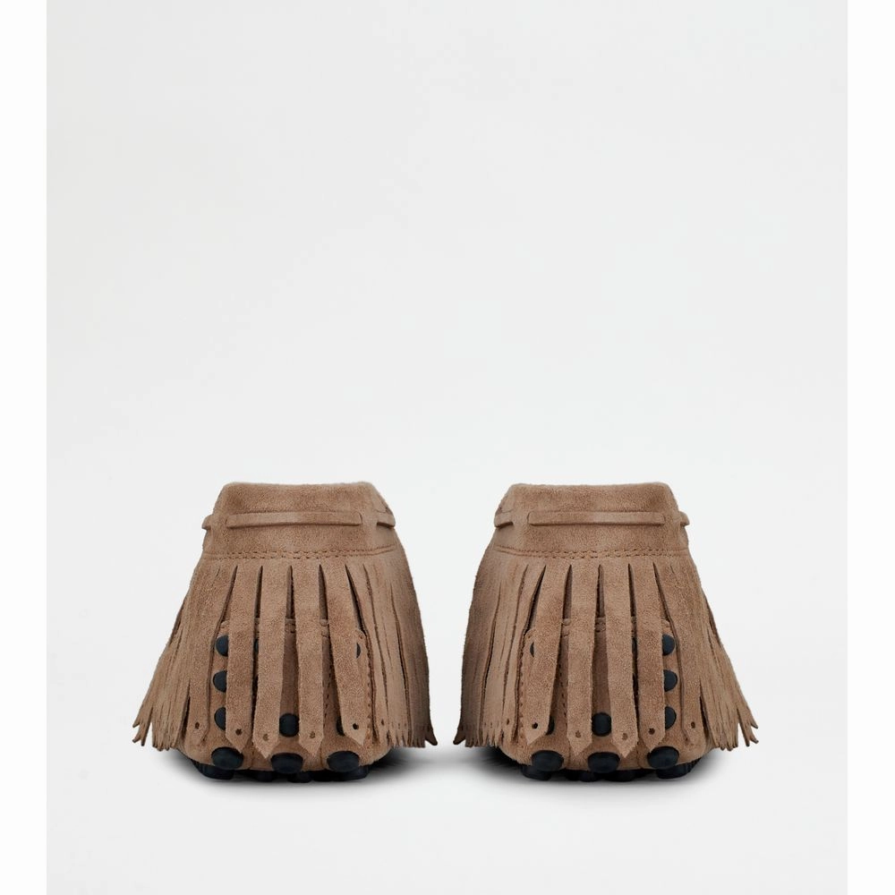 Gommino Desert Boots in Suede