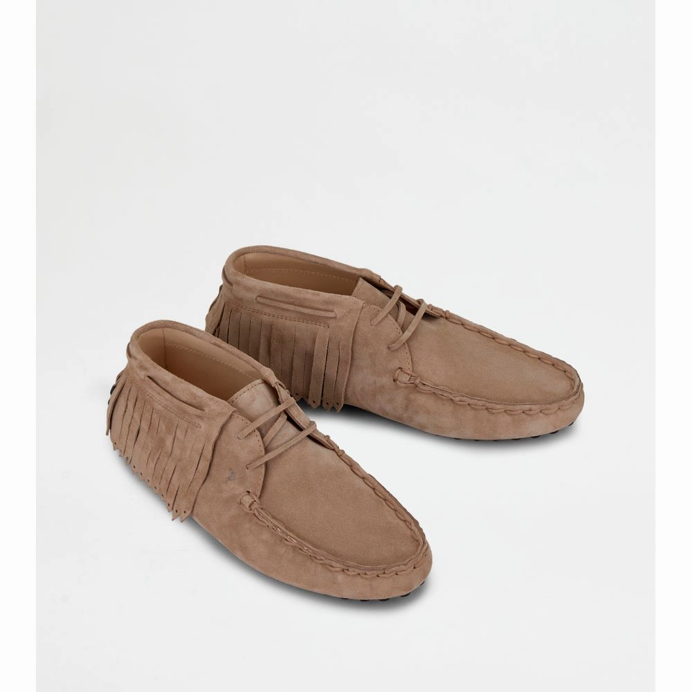 Gommino Desert Boots in Suede