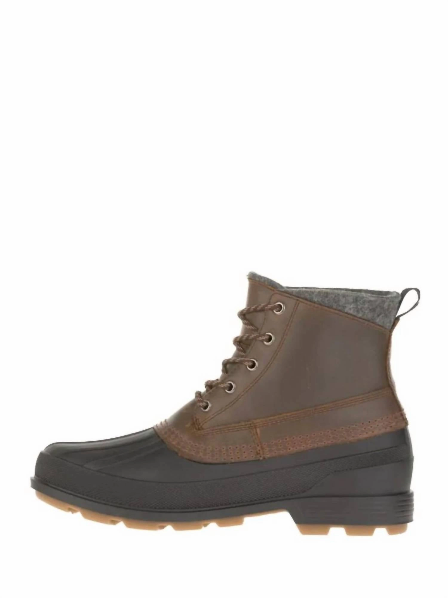 Men's Lawrence M Winter Boot In Chocolate