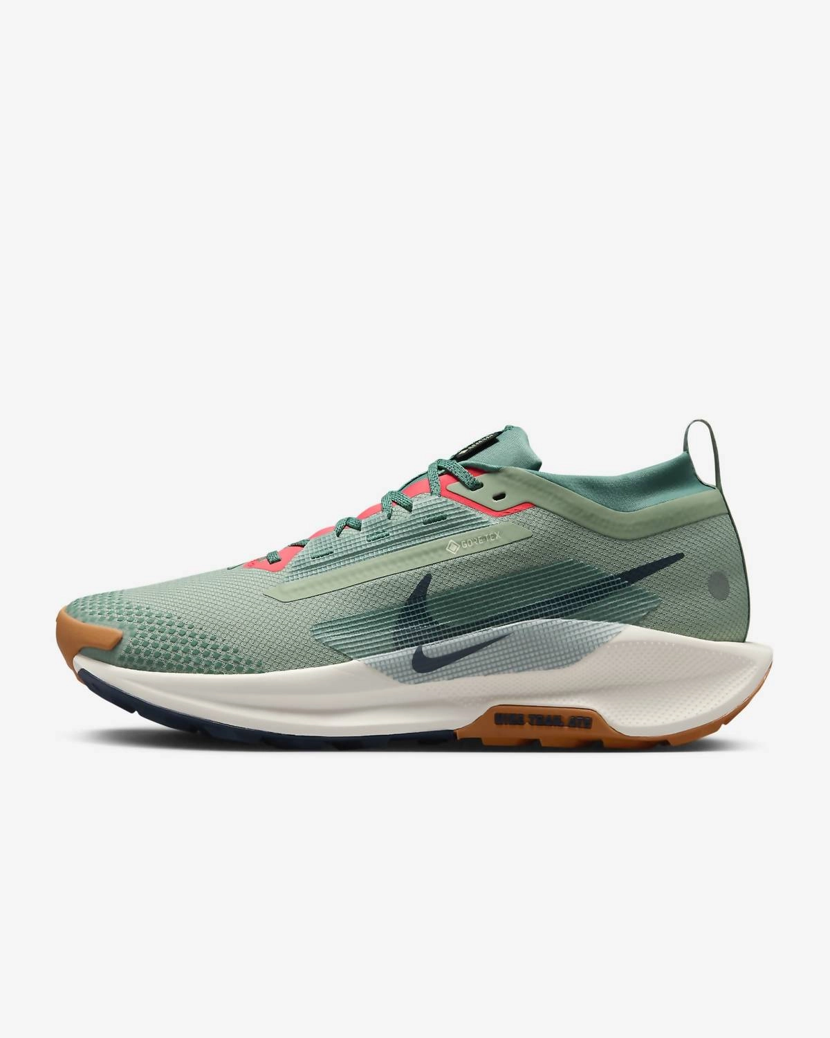 Men's Pegasus Trail 5 Shoes In Jade Horizon