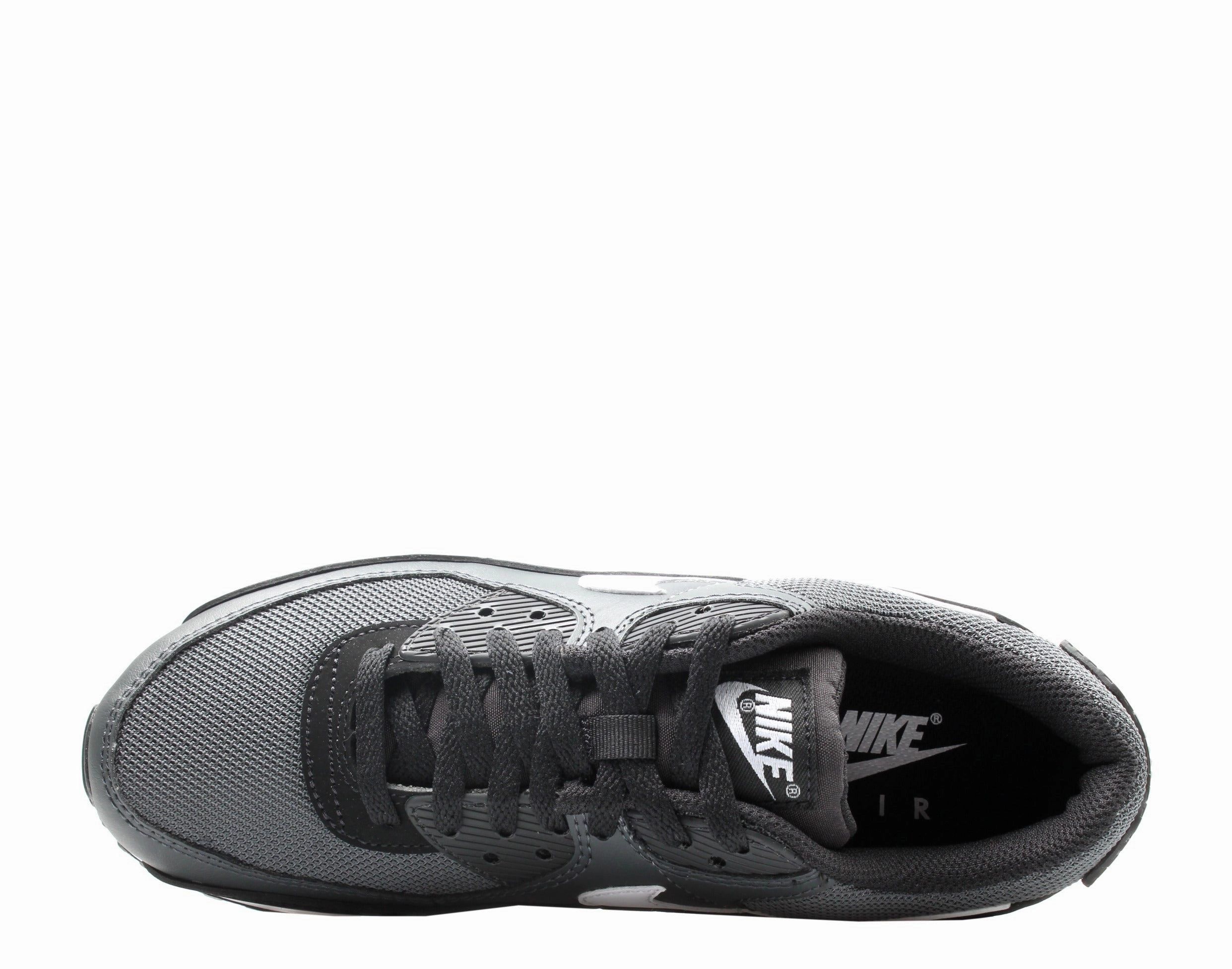 Nike Air Max 90 Iron Grey/White-Dark Smoke Grey Men's Running Shoes CN8490-002
