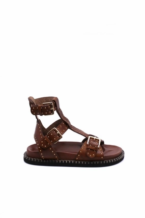 Women's Nova Gladiator Sandals In Luggage Lightweight Womens Sandals discount